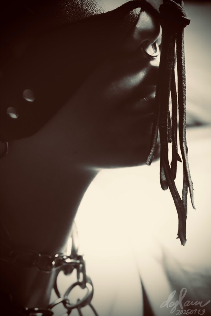 From time to time I think of the vow I wrote years ago.

“I shall serve with faith, honesty, and loyalty.”

Please allow me to dedicate more.