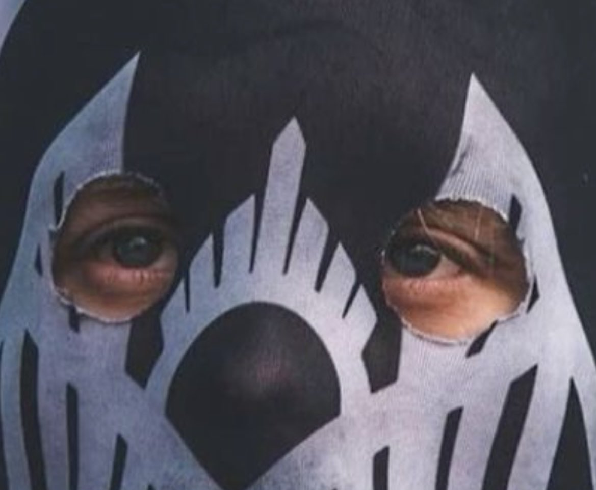 petrich0rdream's tweet image. 