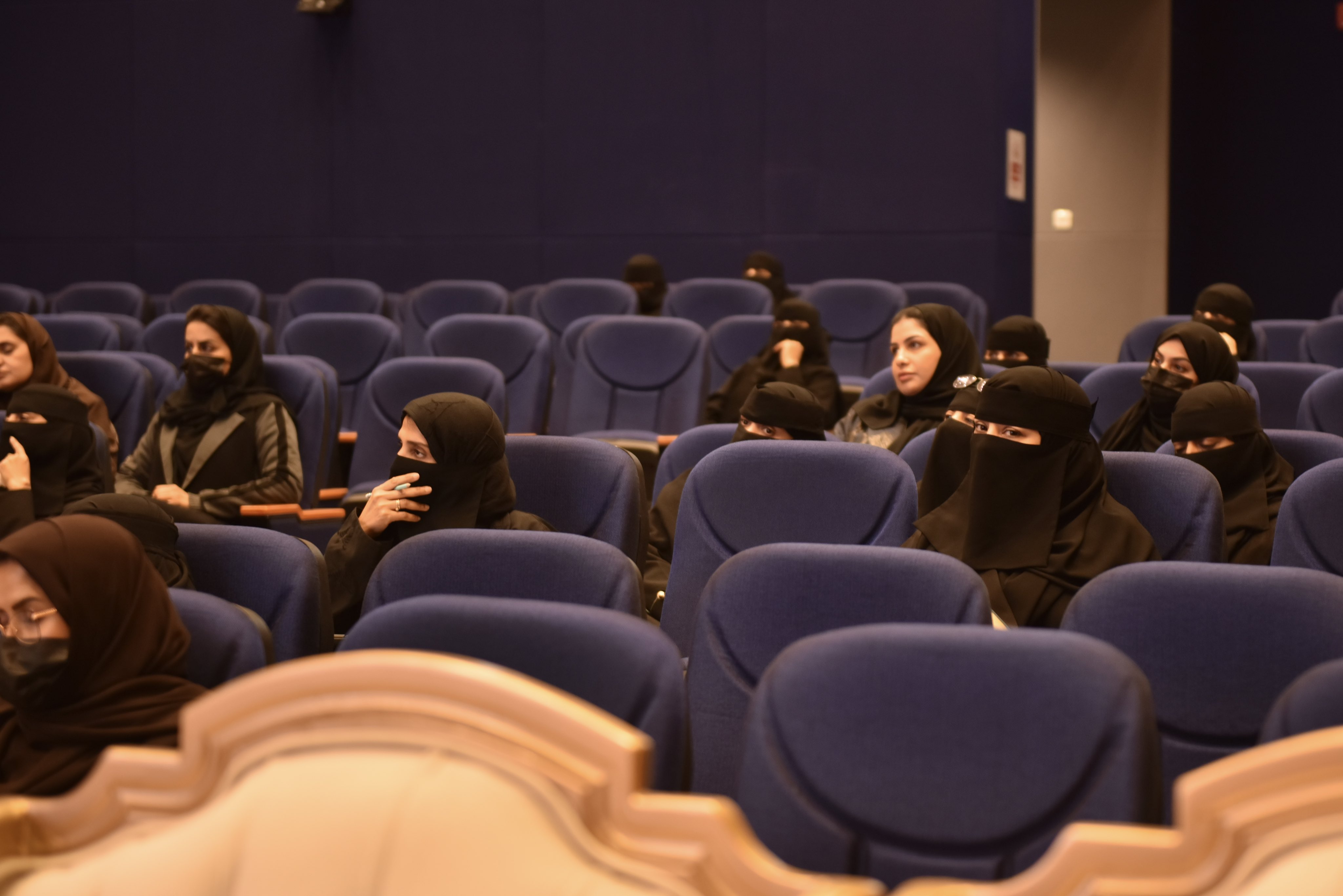 الصورة