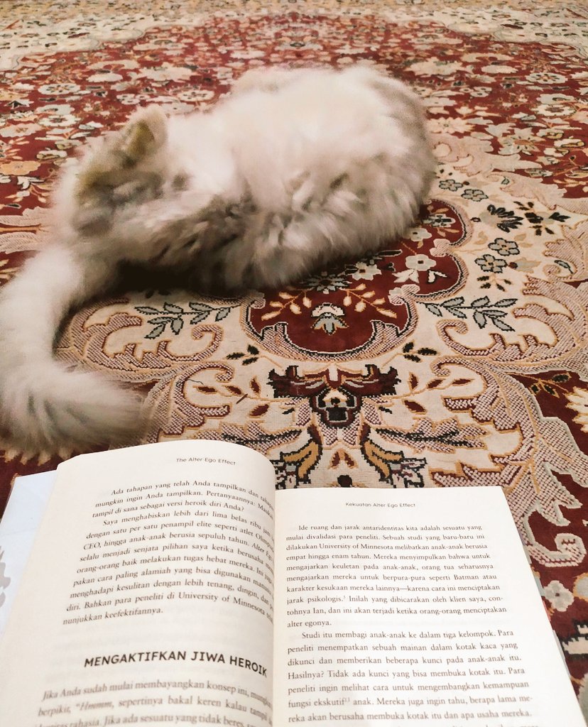 mazelatte's tweet photo. night reading session. 🧶 https://t.co/rAxOZeprds