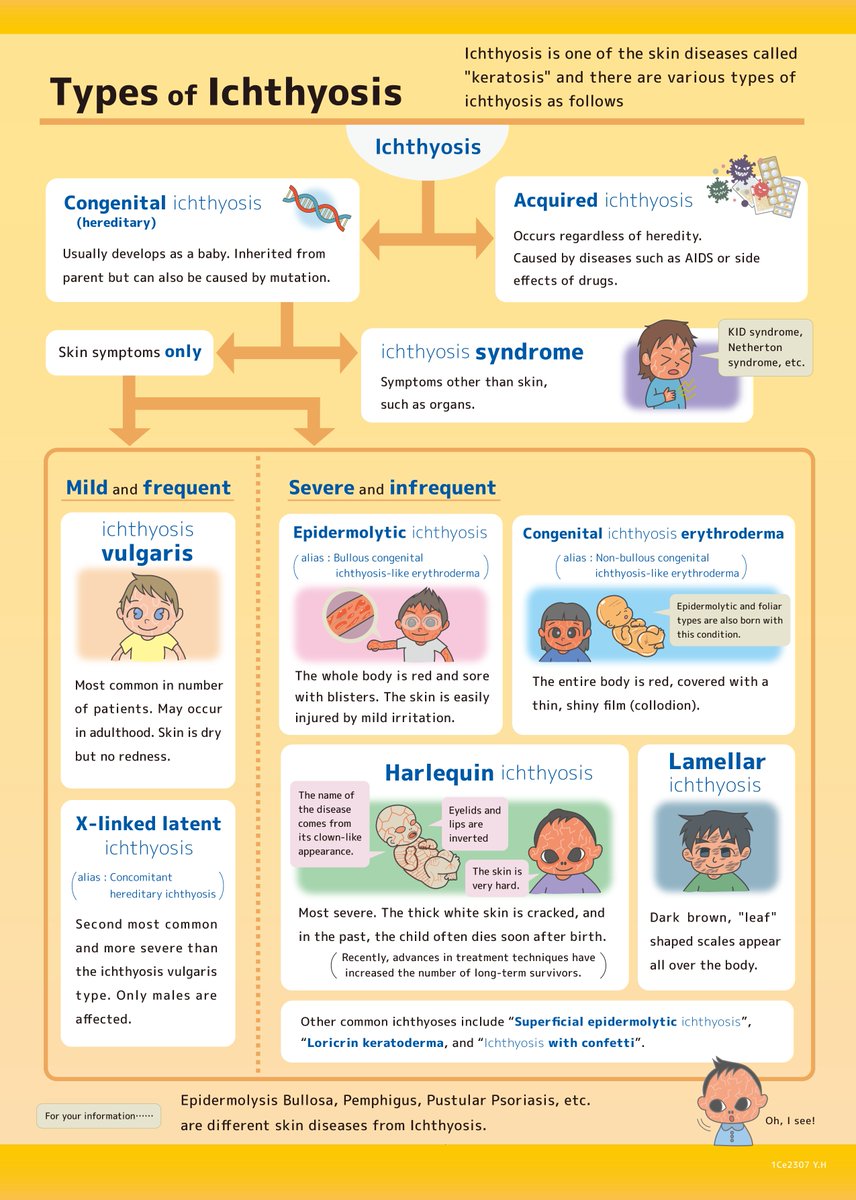 k4DR3qMip6brA06's tweet image. I have prepared images to introduce a disease called &quot;ichthyosis.&quot; (Total of 4 images)
I created the English version based on the Japanese version I created previously, but if there are any errors in the translation, please let me know.
#Ichthyosis　#illustration　#explications