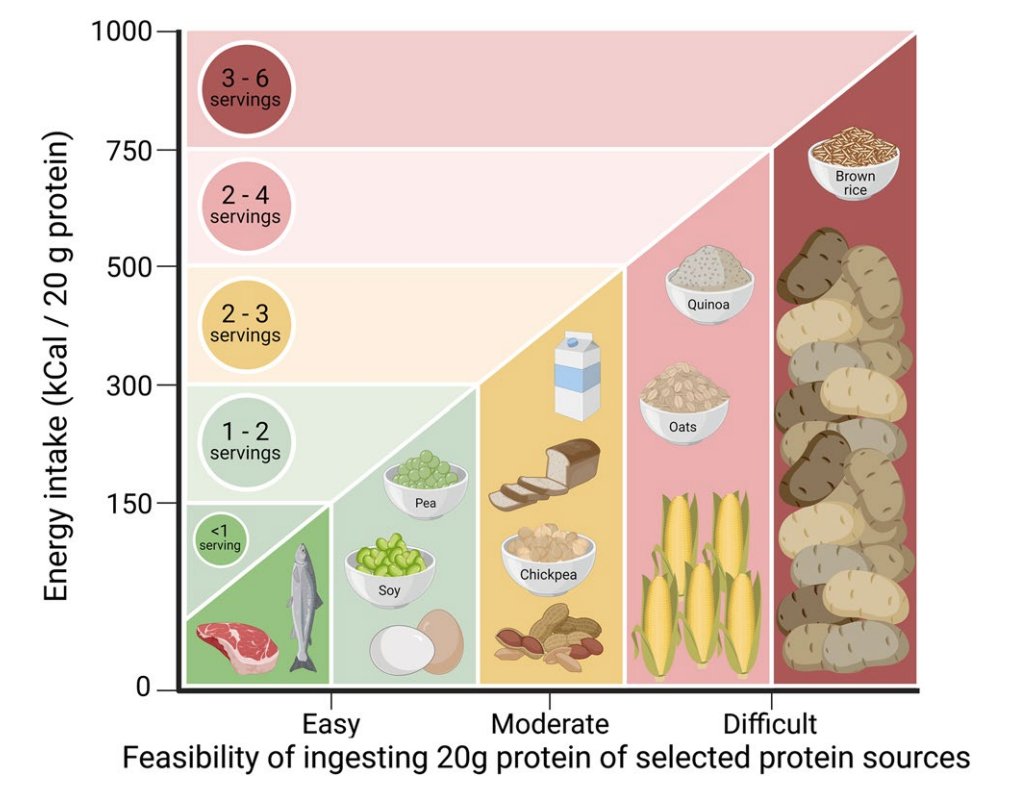 How practical is it to get 20 g of protein from whole foods? 

It's harder from plant-based sources, and may require a higher calorie intake to meet your protein goals.

Source: link.springer.com/article/10.100…