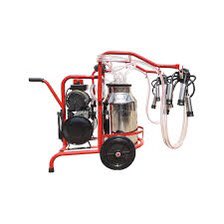 Kieran Sullivan tweet media