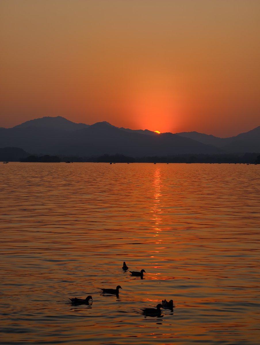 今日杭州西湖边的日落。Today's sunset by West Lake in Hangzhou was truly enchanting.
#杭州 #西湖 #日落 #sunset #westlake https://t.co/ZuJoDr2UxG