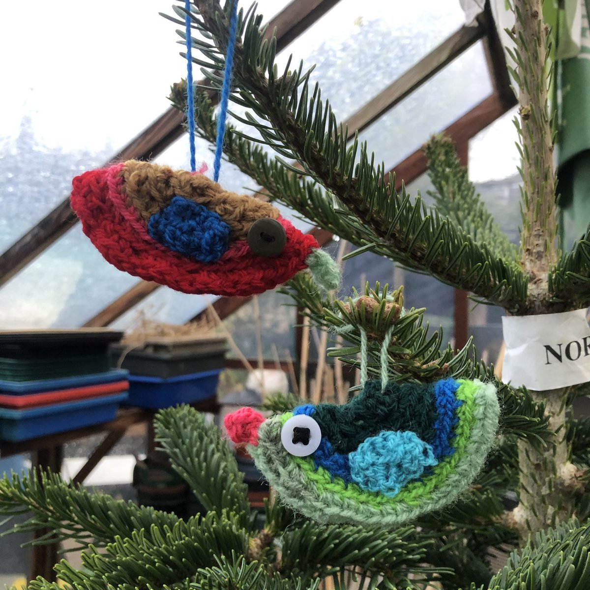 Get ready to Birdwatch! We’re participating in the annual #biggardenbirdwatch next weekend. Join us! We’ve got the binoculars and ID guides - just drop in (children welcome). Sunday 26 January 10.30am and let’s see which birds are in the garden.