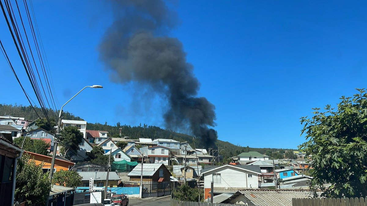 ARE CONSTITUCION tweet media