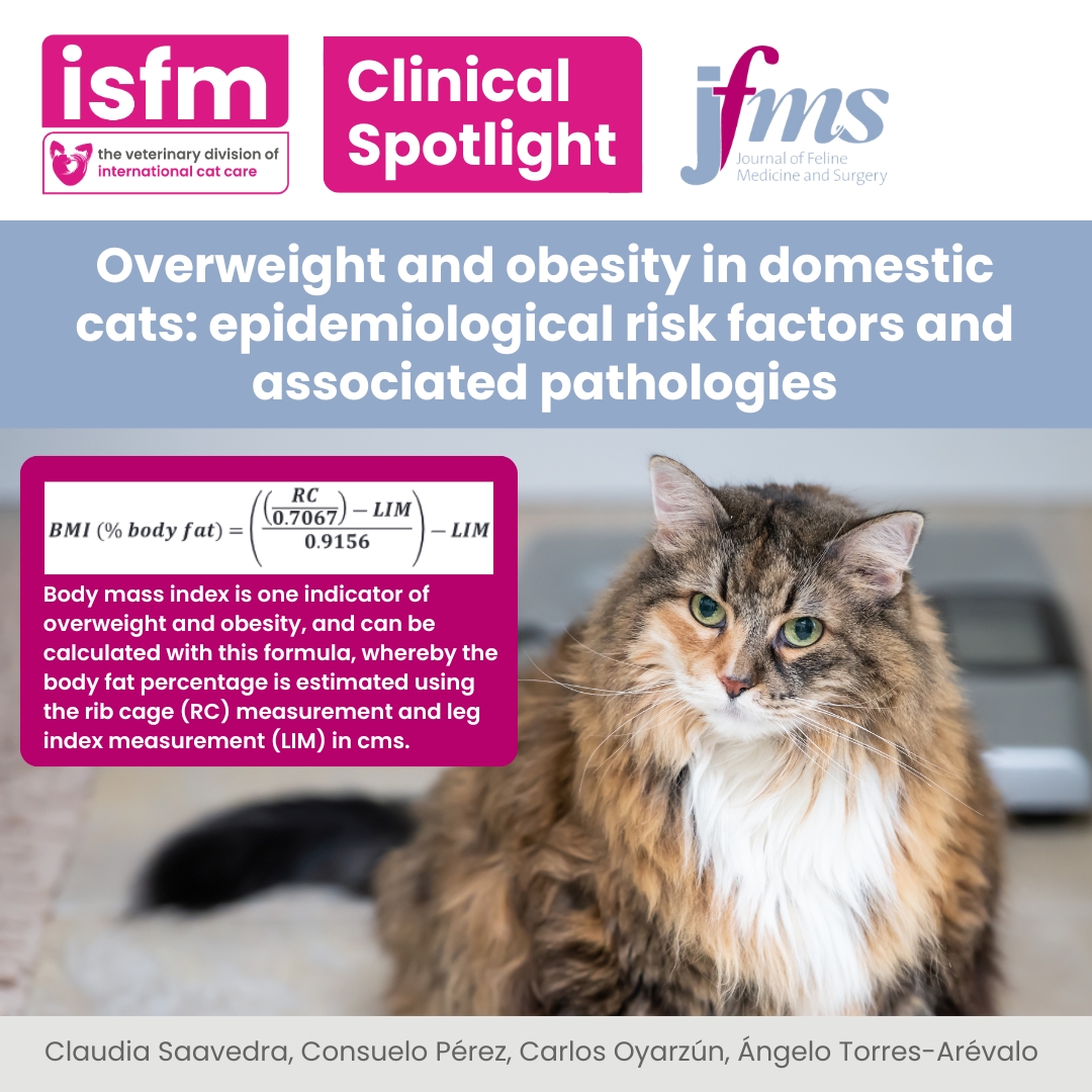 Claudia Saavedra et al analyse the epidemiological variables and diseases associated with overweight and obesity in the domestic cat in this month’s #ClinicalSpotlight article. Read it for free 👉 go.jfms.com/Overweight_and… 

#JFMS #JFMSnews