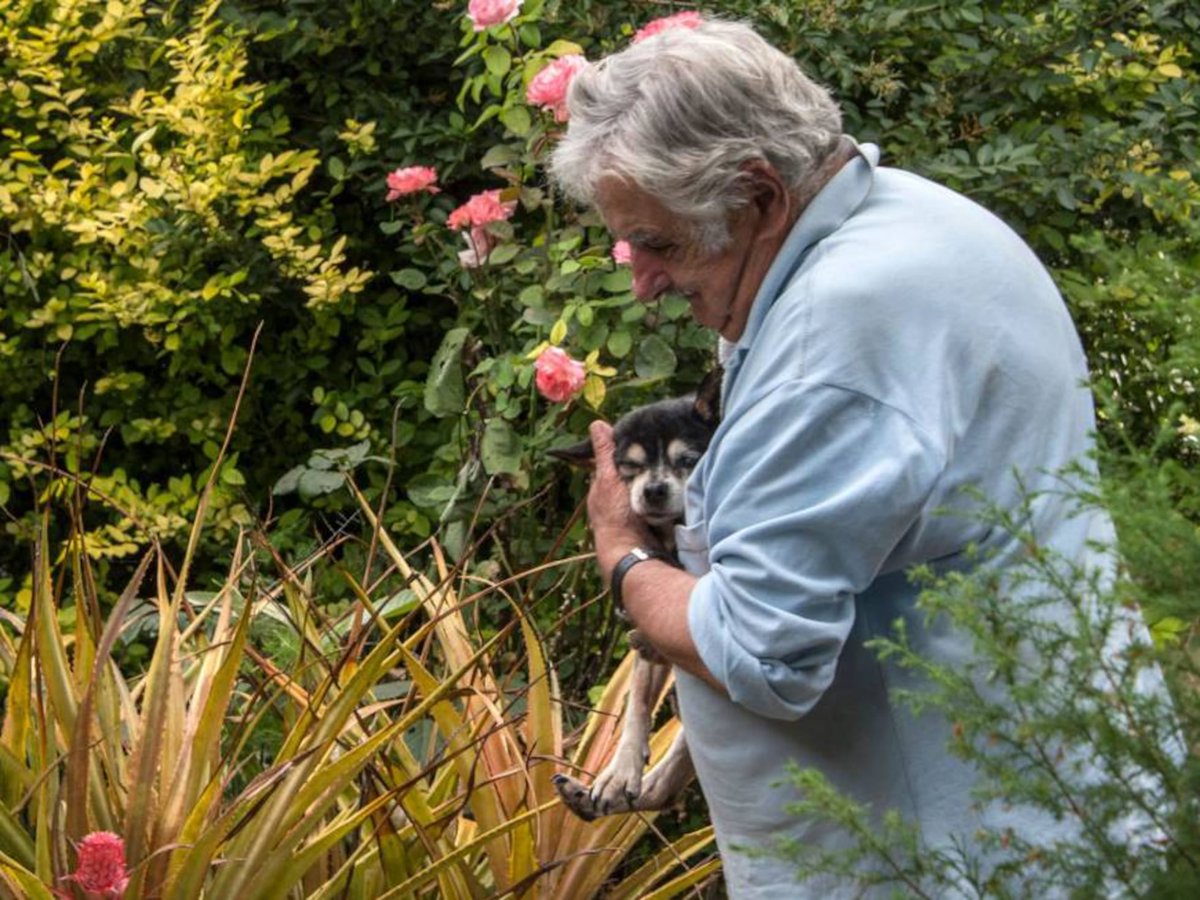 TheodorCarvalho's tweet image. “O pior inimigo de um pobre é outro pobre que se acha rico e defende aqueles que os tornam pobres.” Pepe Mujica