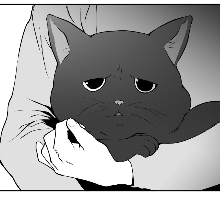 tmi2)
애오는 상철집에서 순조롭게 건강묘로 성장했답니다