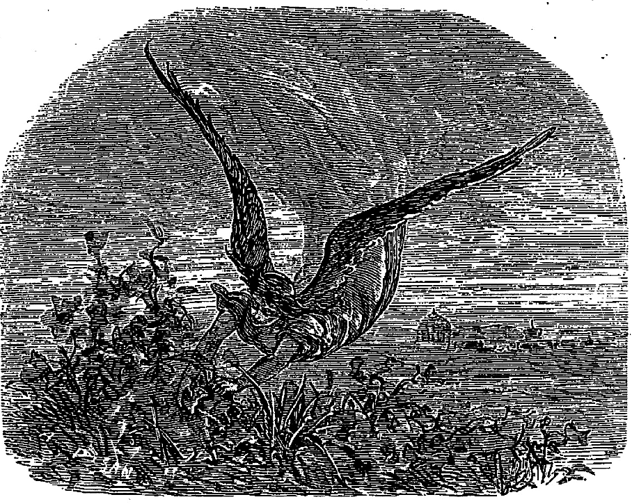 SF Encyclopedia tweet media