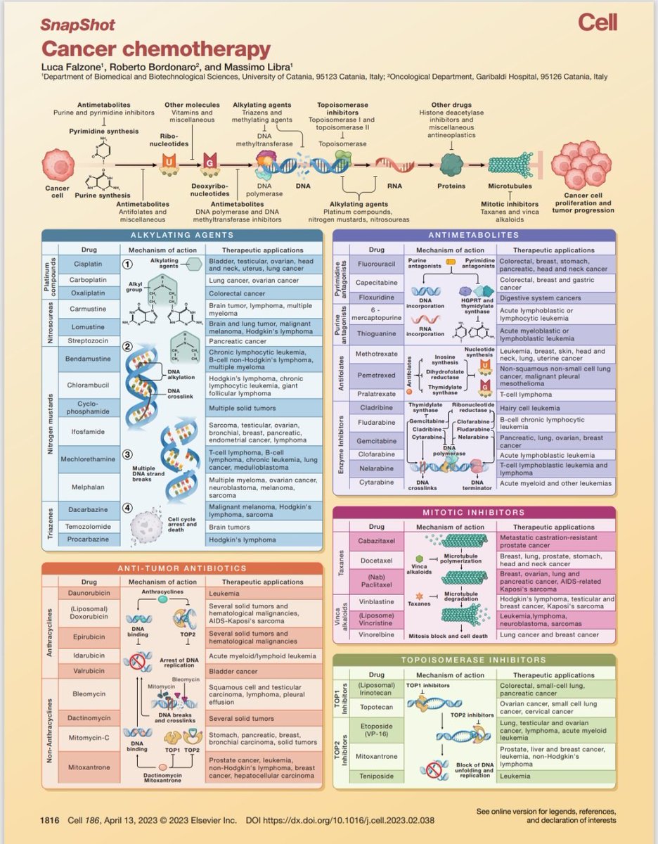 Voici les molécules de chimiothérapie validées et utilisées en pratique courante en oncologie.
Vous pouvez chercher : l'ivermectine, le bleu de méthylène ou encore le fenbendazole n'y figurent pas.
Pourquoi ?
Car il n'existe strictement AUCUNE étude d'efficacité chez l'homme