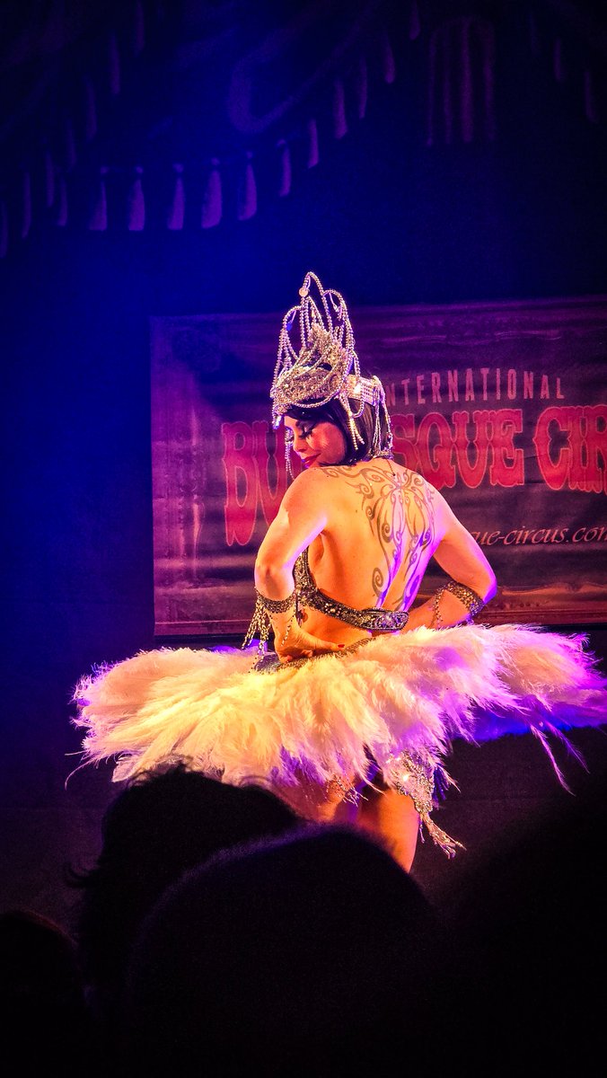 🎃 MiraxyVerse 🎃 tweet media