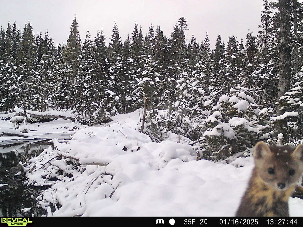 Jim 🇨🇦 tweet media