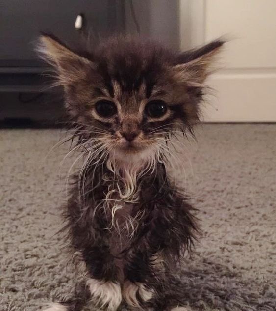 🥹 
#Felix #Straykids