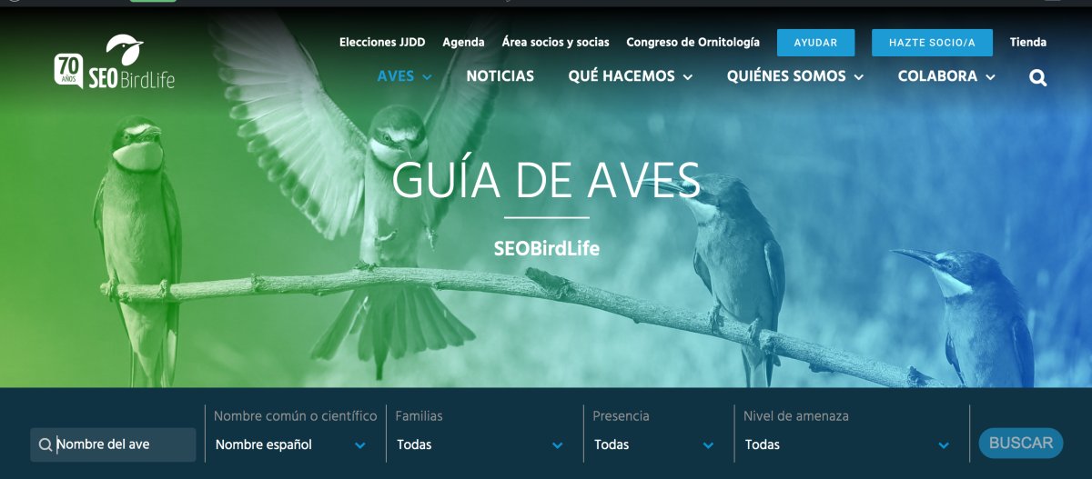 🐦‍⬛ En nuestra Guía de #Aves, encontrarás información detallada de toda la avifauna española una manera amena, rápida y eficaz.
🆕 Ahora, con la novedad de filtrar búsquedas por especies 👇
seo.org/guia-de-aves/ #ornitología