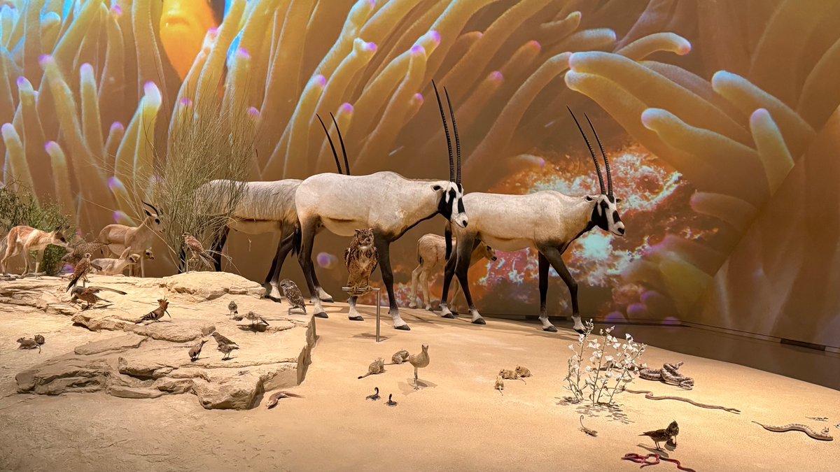 Back in #Qatar. Looking forward to discuss scientific projects with my colleagues <a href="/RaianQa/">Raian Ali</a> and <a href="/Dena_AlThani/">Dr. Dena Al Thani</a>.