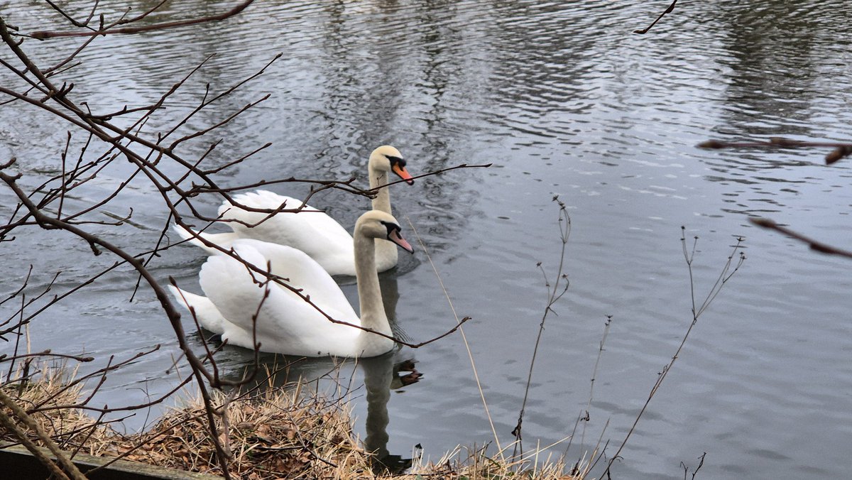 Finola Colgan (@finolacolgan) on Twitter photo #sundaymotivation lovely walk in <a href="/LoughBooraPark/">Lough Boora Discovery Park</a> this morning <a href="/Offalytoday/">Declan Costello</a> Social Walk. <a href="/JigsawYMH/">JigsawYMH</a> <a href="/MentalHealthIrl/">Mental Health IRL</a> <a href="/Donegalabu/">Marie Duffy</a> <a href="/Rosalee96256706/">Rosaleen</a> <a href="/NOSPIreland/">HSE National Office for Suicide Prevention (NOSP)</a> <a href="/gardainfo/">Garda Info</a> <a href="/offalycoco/">Offaly County Council</a> <a href="/offaly_ppn/">Offaly PPN</a> <a href="/GracieSrahan/">Grace Srahan</a> <a href="/CossDavid1/">David Coss</a> <a href="/LeonieSherlock/">Leonie Sherlock</a> <a href="/DervilaEyres/">Dervila Eyres</a> #sundaymotivation lovely walk in <a href="/LoughBooraPark/">Lough Boora Discovery Park</a> this morning <a href="/Offalytoday/">Declan Costello</a> Social Walk. <a href="/JigsawYMH/">JigsawYMH</a> <a href="/MentalHealthIrl/">Mental Health IRL</a> <a href="/Donegalabu/">Marie Duffy</a> <a href="/Rosalee96256706/">Rosaleen</a> <a href="/NOSPIreland/">HSE National Office for Suicide Prevention (NOSP)</a> <a href="/gardainfo/">Garda Info</a> <a href="/offalycoco/">Offaly County Council</a> <a href="/offaly_ppn/">Offaly PPN</a> <a href="/GracieSrahan/">Grace Srahan</a> <a href="/CossDavid1/">David Coss</a> <a href="/LeonieSherlock/">Leonie Sherlock</a> <a href="/DervilaEyres/">Dervila Eyres</a>