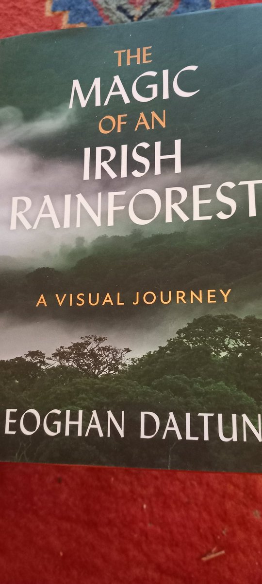 Rob Cullen #Immigrantsson tweet media