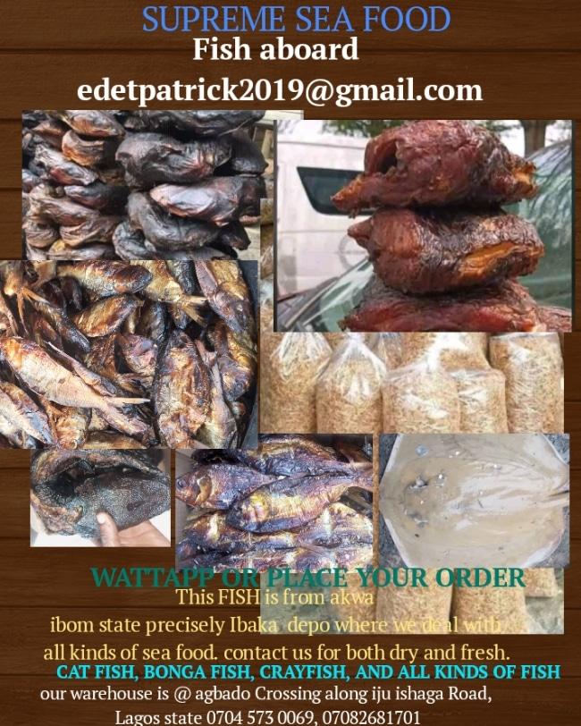 patrick edet tweet media