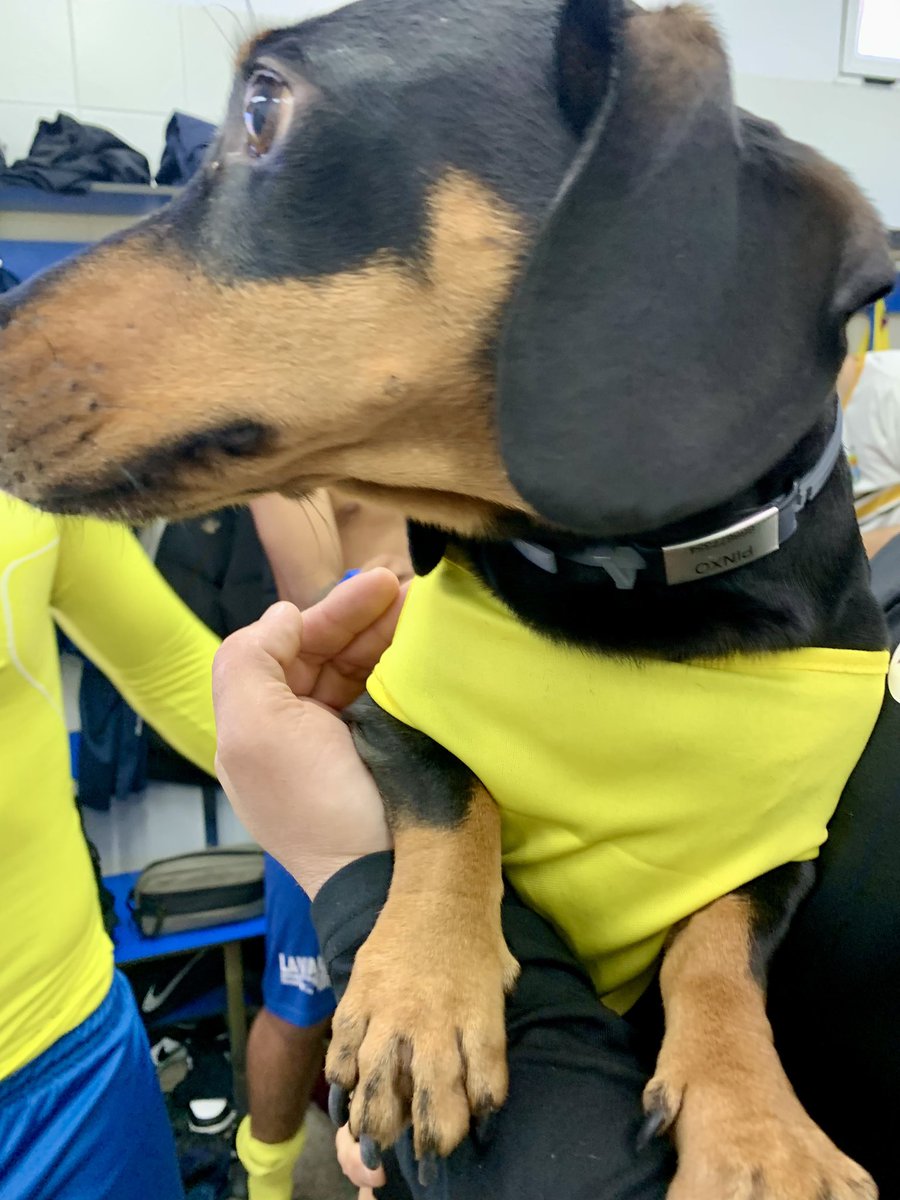 Final en Poniente!!!! Gran victoria de los nuestros ante un gran rival !!!! <a href="/CDJardn/">CD Ciudad Jardín</a> 2 - <a href="/cdmontalbeno/">Club Deportivo Montalbeño</a> 0.
17 Jugadores y un 🐶!!!!!! Grandes!!!! <a href="/Ocasioncasa1/">Ocasióncasa</a>  <a href="/GYCenergy/">Gestión Y Calor</a>  <a href="/lavautocordoba/">Lavauto Córdoba</a> <a href="/IngedecaSL/">Ingedeca Constructora</a>