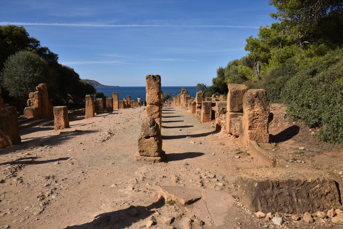 Following Hadrian tweet media