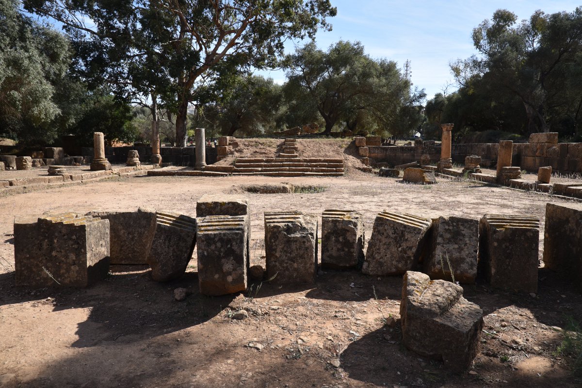 Following Hadrian tweet media