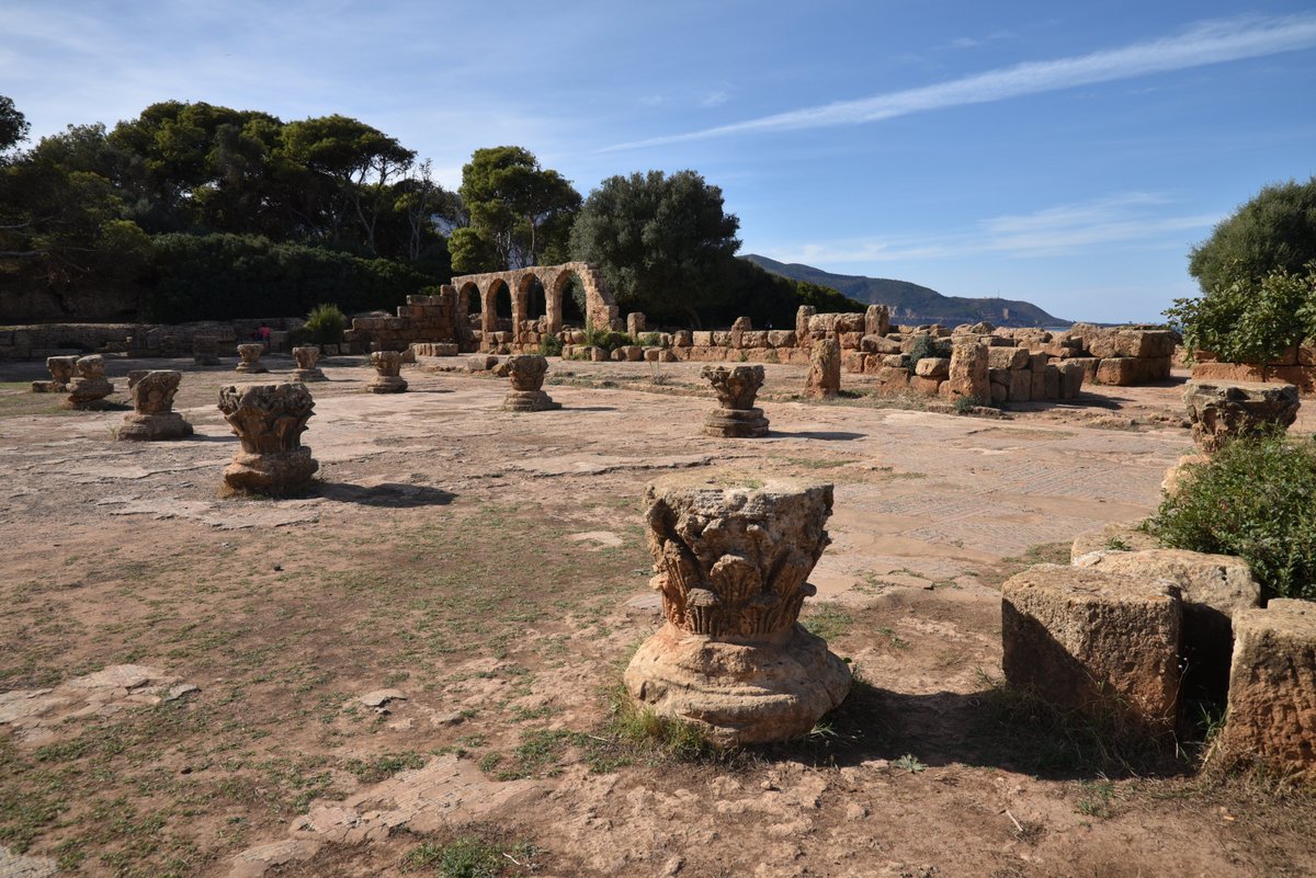 Following Hadrian tweet media