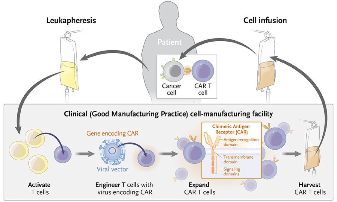 Let's learn hematology in 2025🩸

Day 19: basics of CAR-T