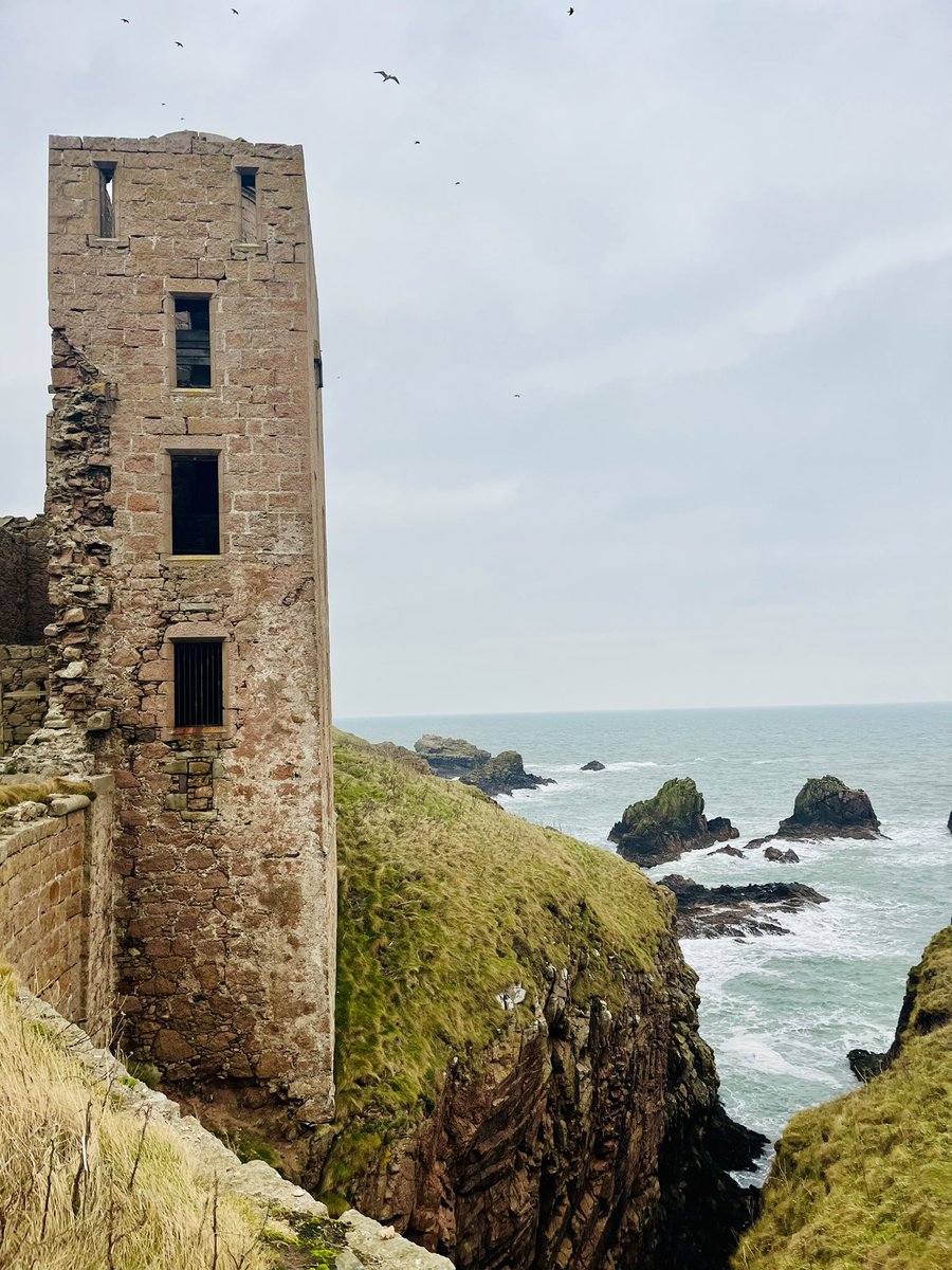 Fiona Stalker tweet media