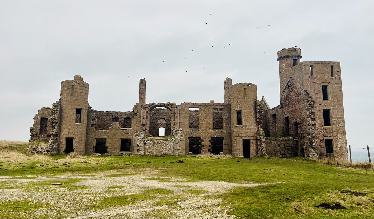 Fiona Stalker tweet media