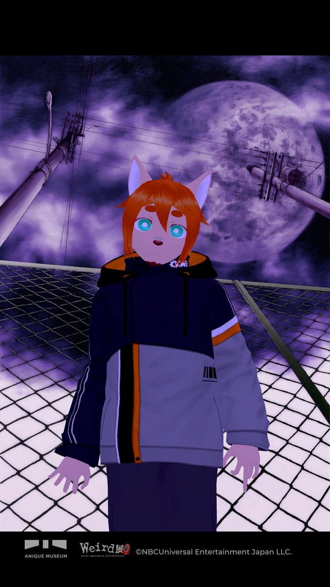 山田ちくわぶ🍢🍥 tweet media