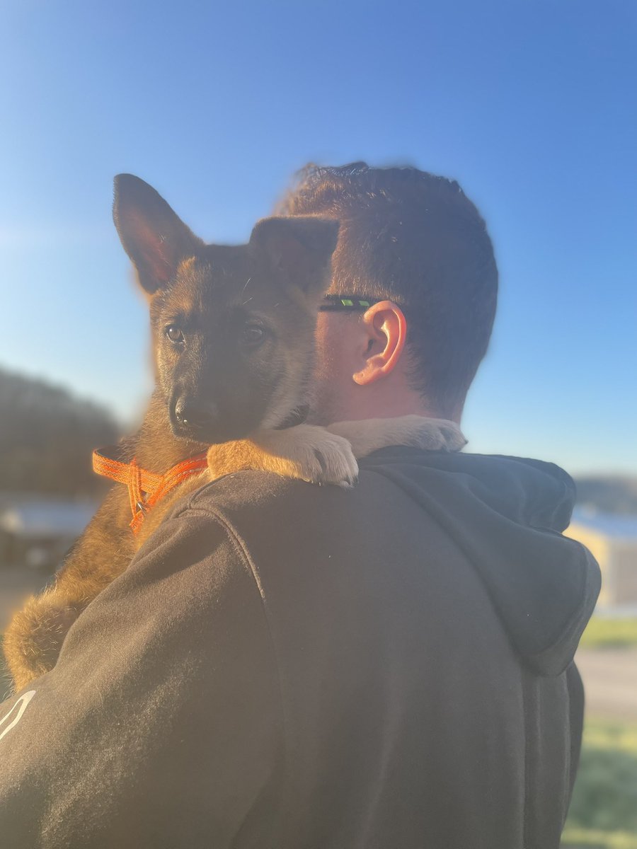 Crazy_Python25's tweet image. My babygirl Xena Halestorm is a pure bred German Shepherd and finally hit one year old. She’s an amazing girl and highly energetic. I’m just glad we got through the raptor phase. Happy Birthday!!