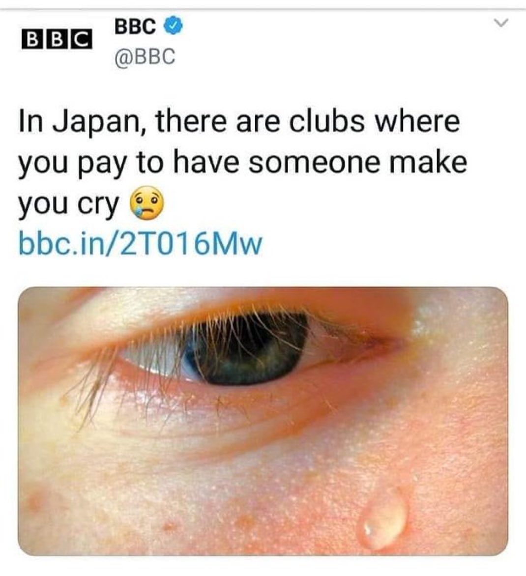 Alfie House tweet media