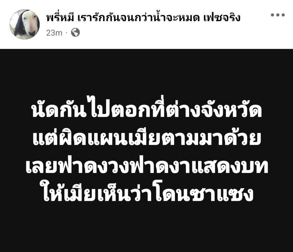 Valkyrie 🌸 🍝 tweet media