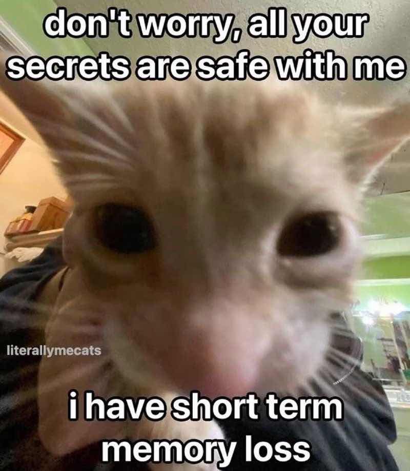EmptyPlains's tweet photo. I can’t lie i’m back on this app because tiktok is gone and I don’t know what to do with my time. can’t wait to figure out what’s going on with people https://t.co/wFWlea4PAi