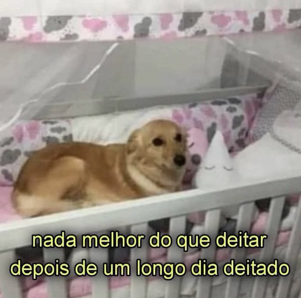 euovitinn's tweet photo. domingo https://t.co/kiSedEjh7K