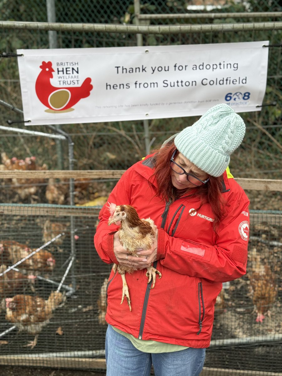 Lewis Dr Chicken tweet media