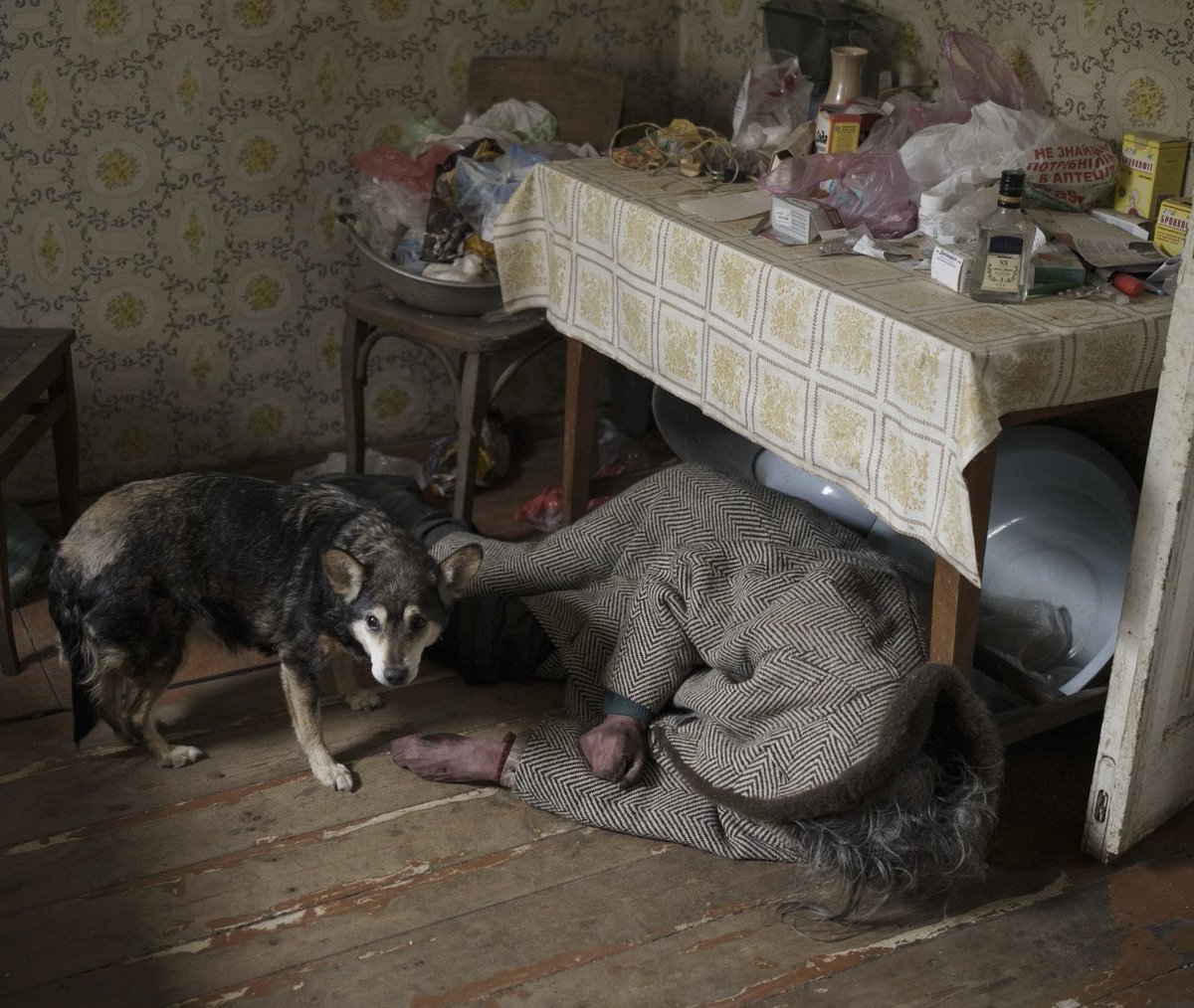 A dog stands next to the body of an elderly woman killed inside a home in Bucha on the outskirts of Kyiv, April 5, 2022. Never forget, never forgive.

(AP Photo/Felipe Dana)
