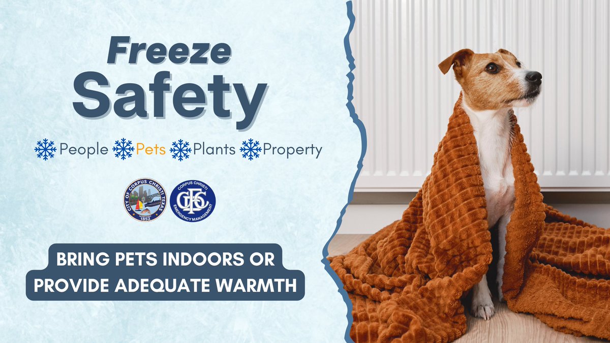 🐾 Protect Pets!

Bring pets indoors or provide adequate warmth and shelter. Remember, if it’s too cold for you, it’s too cold for them!

📢 A news release with more detailed information is available at cctx.info/3PD5ujs. Stay informed and share these tips to help others