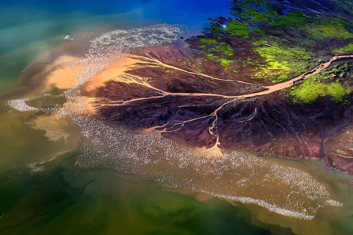 Lake Bogoria is a saline water shallow located in the northern region of Kenyan Rift and known as the most beautiful view in Africa. <a href="/NikonUSA/">NikonUSA</a> <a href="/earthcurated/">Earth</a> <a href="/NikonEurope/">NikonEurope</a> <a href="/magicalkenya/">Kenya Tourism Board</a> <a href="/kenyapics/">Kenya Pics</a> <a href="/NatGeo/">National Geographic</a> <a href="/NikonProEurope/">Nikon Pro</a> <a href="/nikonownermag/">Nikon Owner</a> <a href="/NikonPro/">Nikon Pro</a> <a href="/NPhotomag/">N-Photo</a> <a href="/itphotographers/">photographers.it</a>