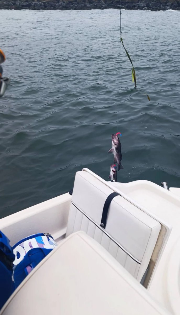 Dm_2003's tweet photo. I go fishing today π£ ππ
#IGoFishingToday
#FishingAdventure
#CatchOfTheDay
#FishingLife
#AnglerLife
#TimeToFish
#ReelItIn https://t.co/KcXCrgbrRg