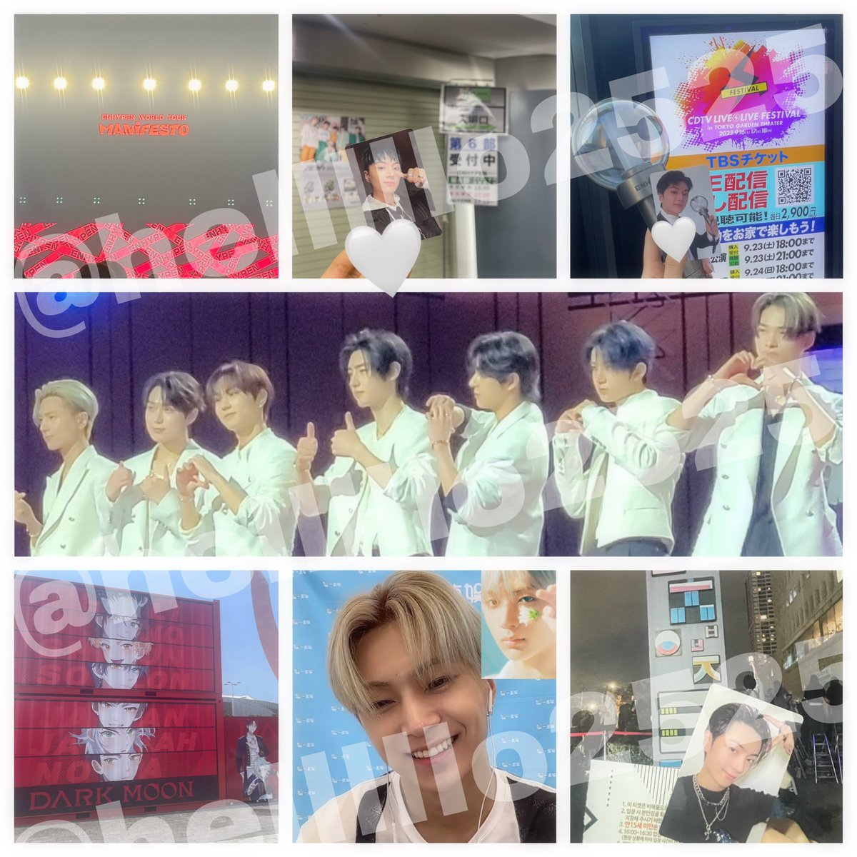 ❤︎ tweet media
