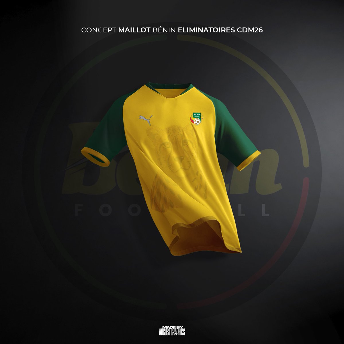 je_s_apel_groot's tweet image. J&apos;ai réalisé un maillot concept pour l&apos;Équipe Nationale du Bénin 

#Graphisme #MaillotConcept #Art #Benin #GraphicDesigner #photoshop