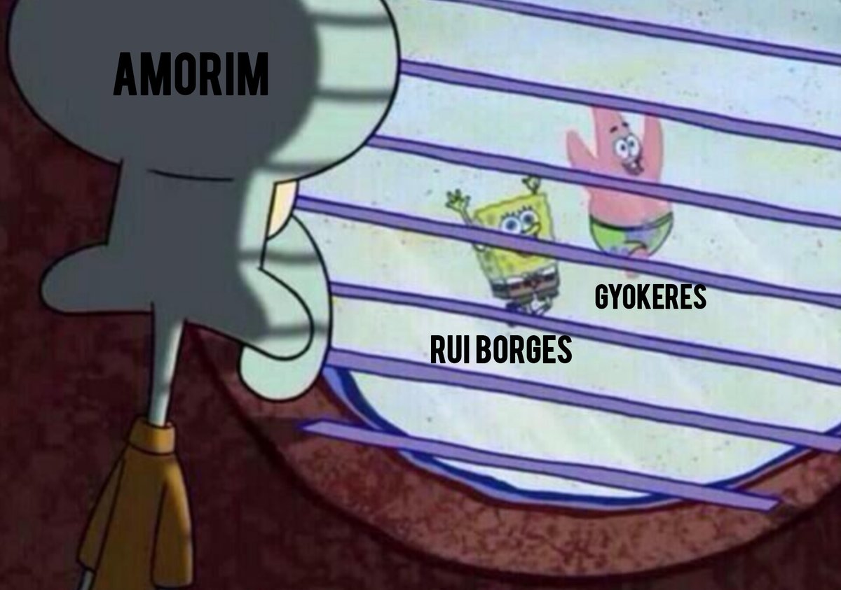 João Almeida (@joaopfalmeida) on Twitter photo 