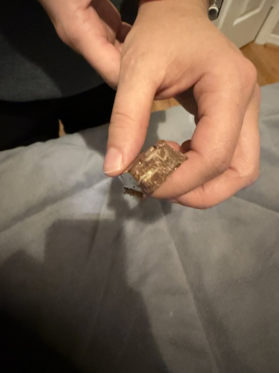 Elizabeth tweet media