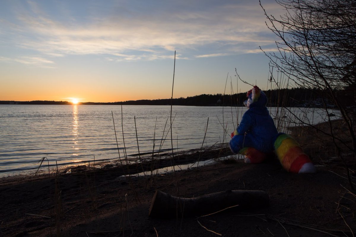 Tinka the Rainbow Fox (@tinkafur) on Twitter photo Tinka longing for somewhere warmer - a land beyond the sea? π
Photo by <a href="/KamuBat/">Kamuniak π¦</a> π¦πΈ Tinka longing for somewhere warmer - a land beyond the sea? π
Photo by <a href="/KamuBat/">Kamuniak π¦</a> π¦πΈ