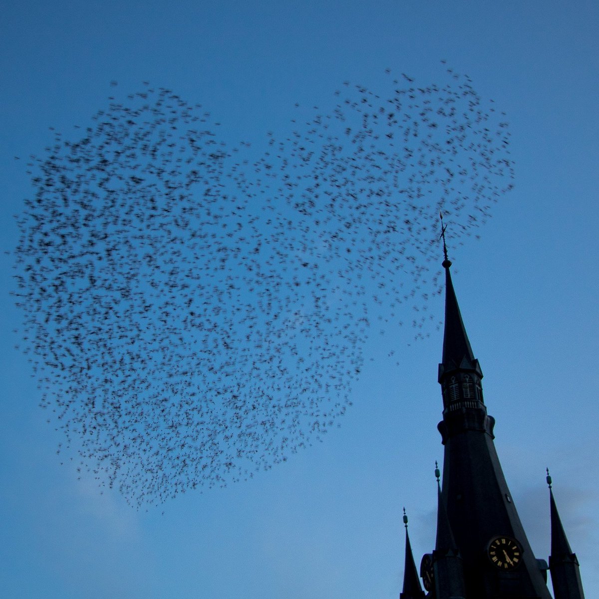 Je reste, en mode minimal, juste pour l'ambiance 🥳

🦋Je vous invite à me rejoindre avec les copains sur le ciel bleu 
👉bsky.app/profile/livefr…

#Liège