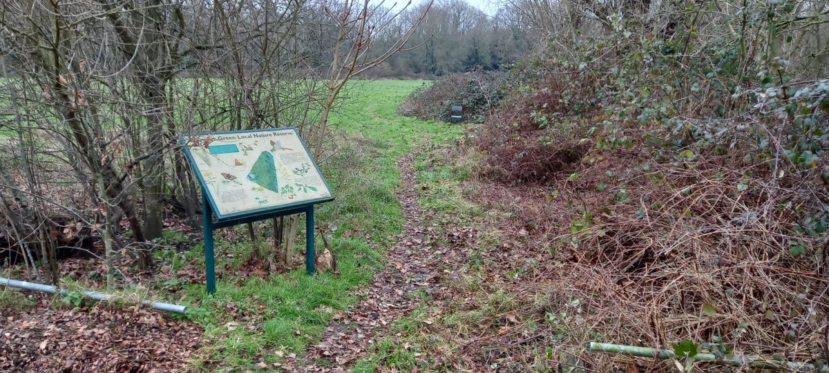 Wonderful work by Friends of The Canons volunteers caring for the very special pond on Cranmer Meadow over the weekend