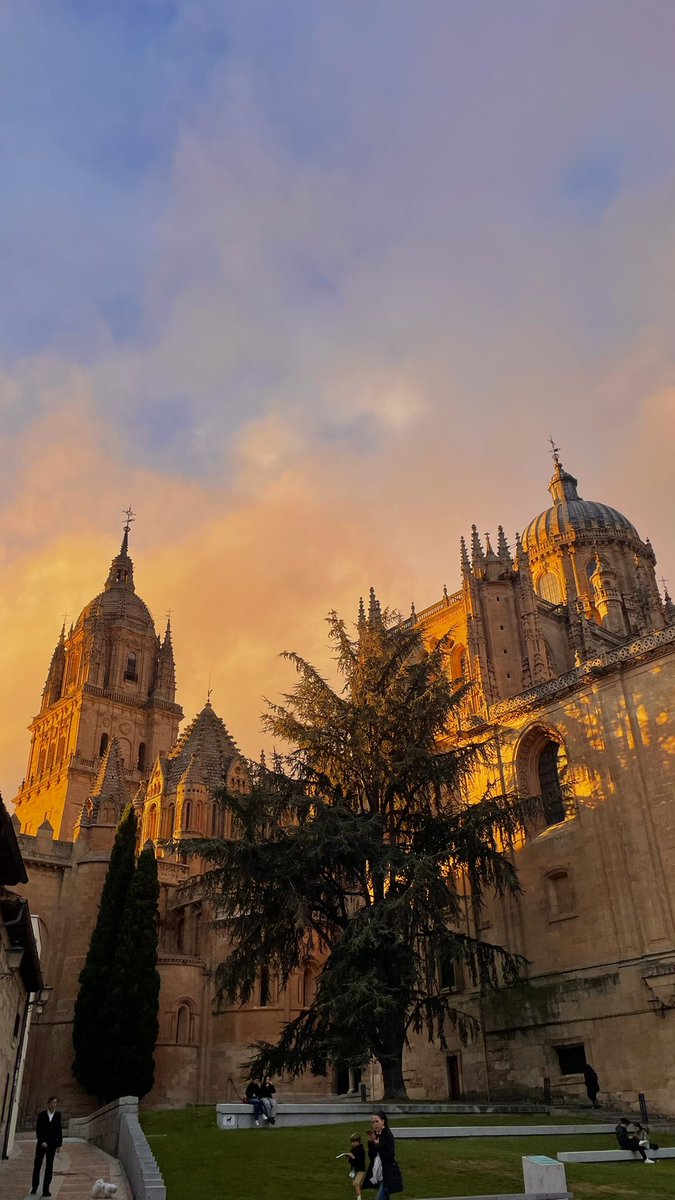 luciasaenzm's tweet photo. nunca me cansaré de lo bonita que es salamanca <3 https://t.co/V7i7bWDjKp