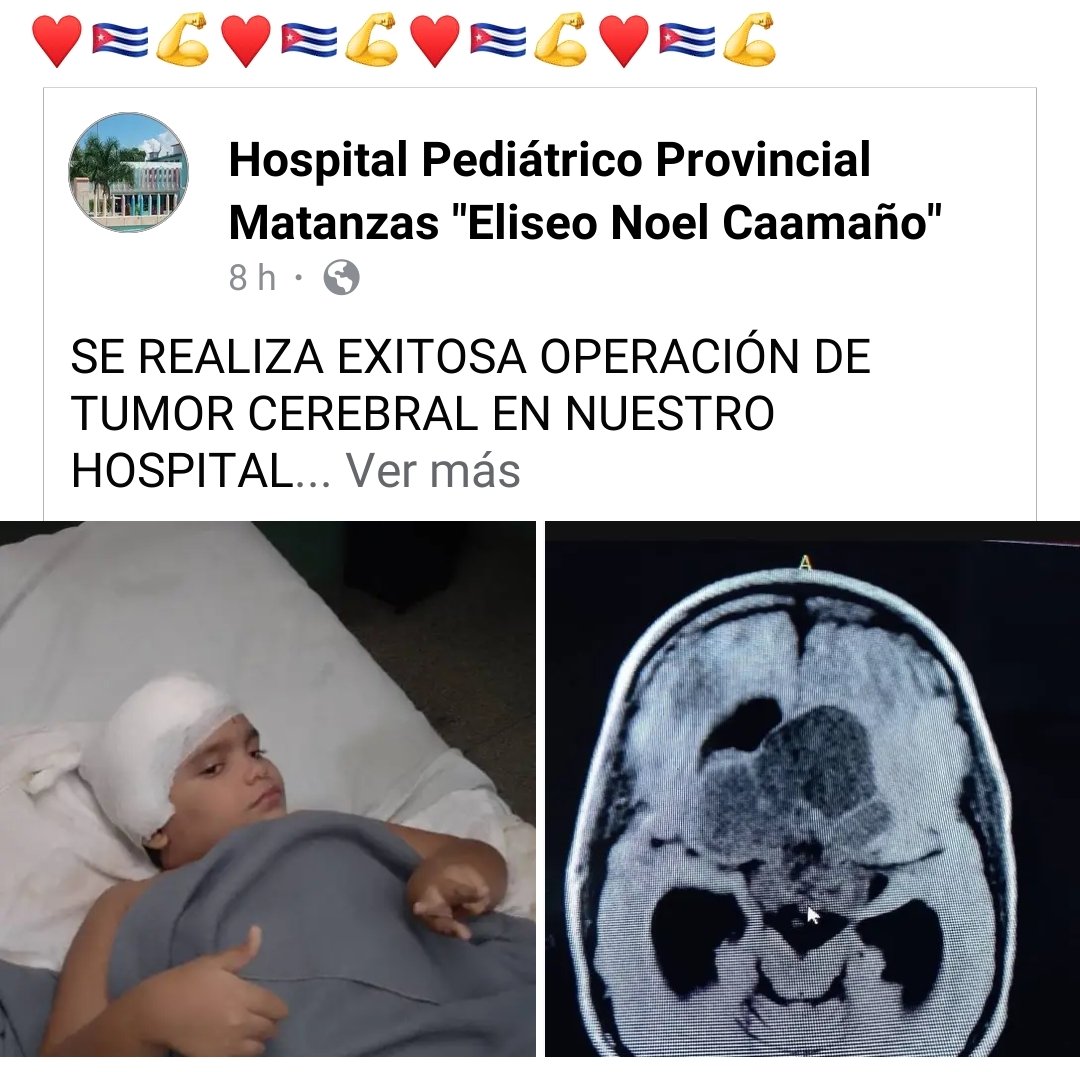 El Necio tweet media